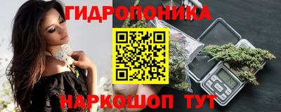 прущие крисы Шахты